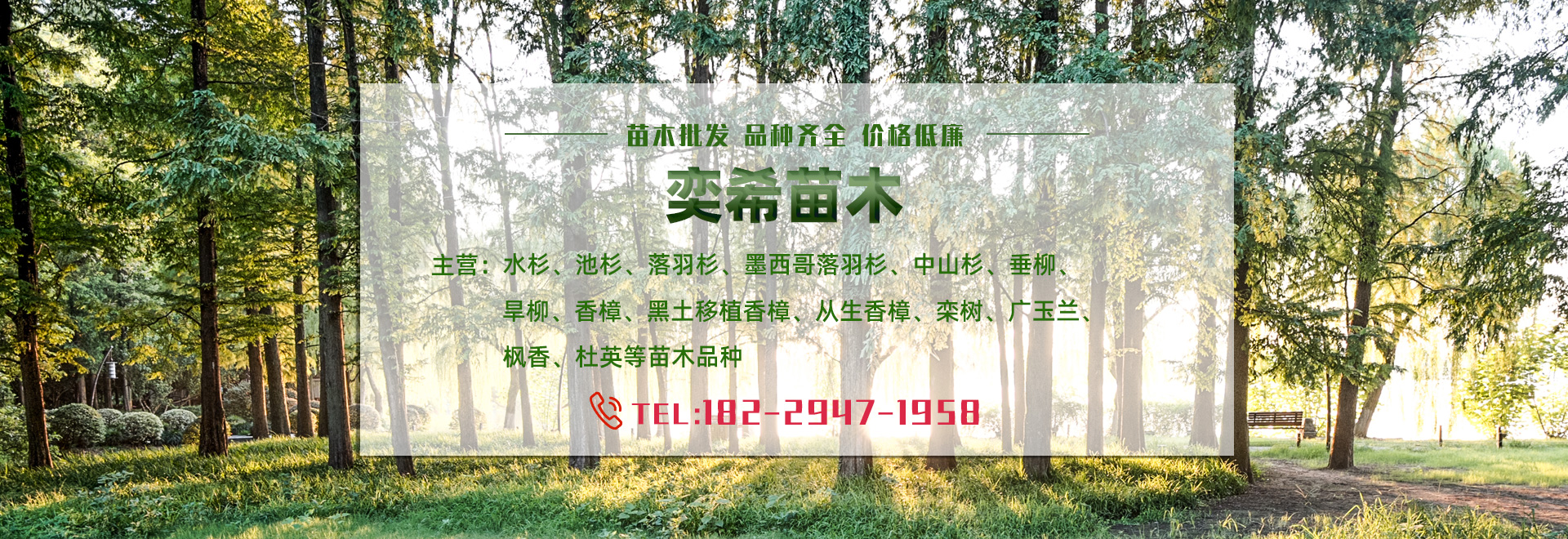 湖南奕?；ɑ軋@林有限責(zé)任公司_水杉 池杉 落羽杉 墨西哥落羽杉 中山杉 垂柳 香樟 欒樹(shù) 廣玉蘭 羅漢松
